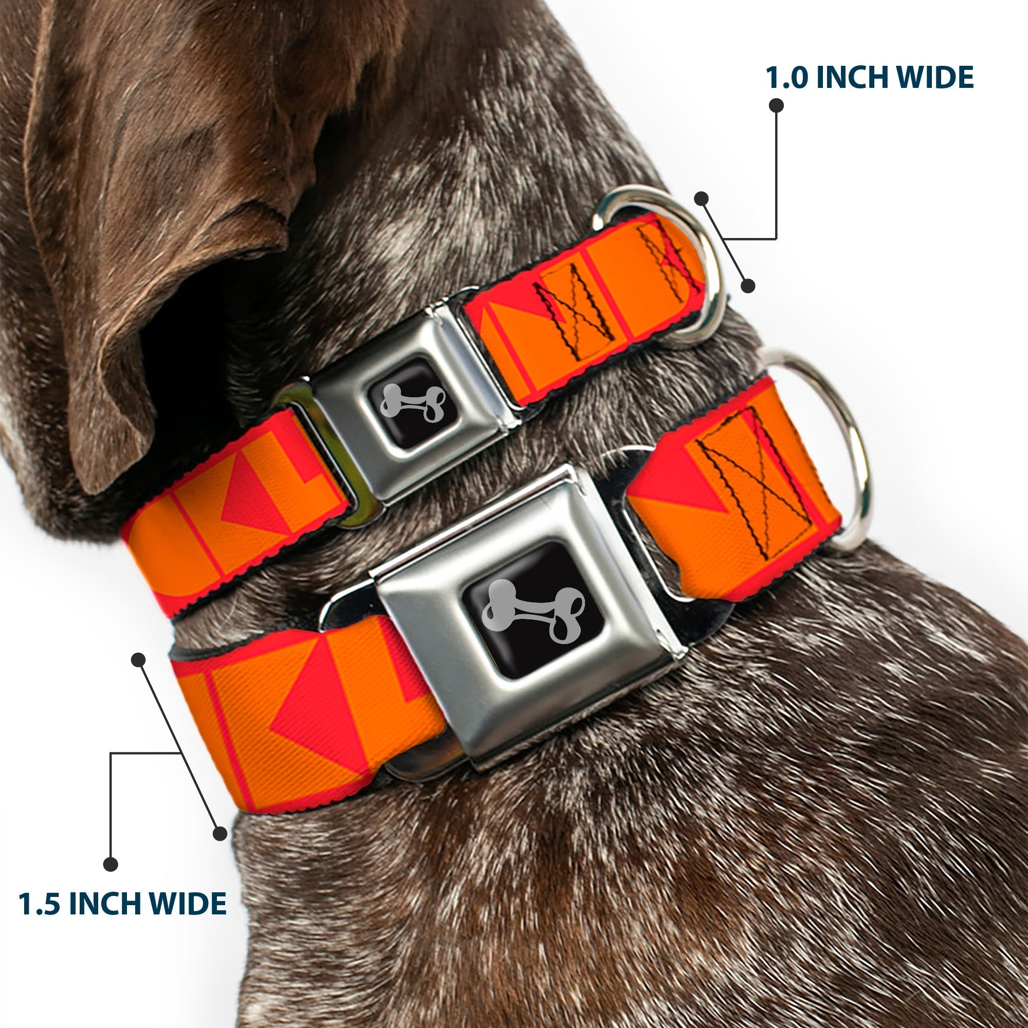 Dog Bone Seatbelt Buckle Collar - BUCKLE - DOWN Shapes Red/Orange - Che Cose Belle