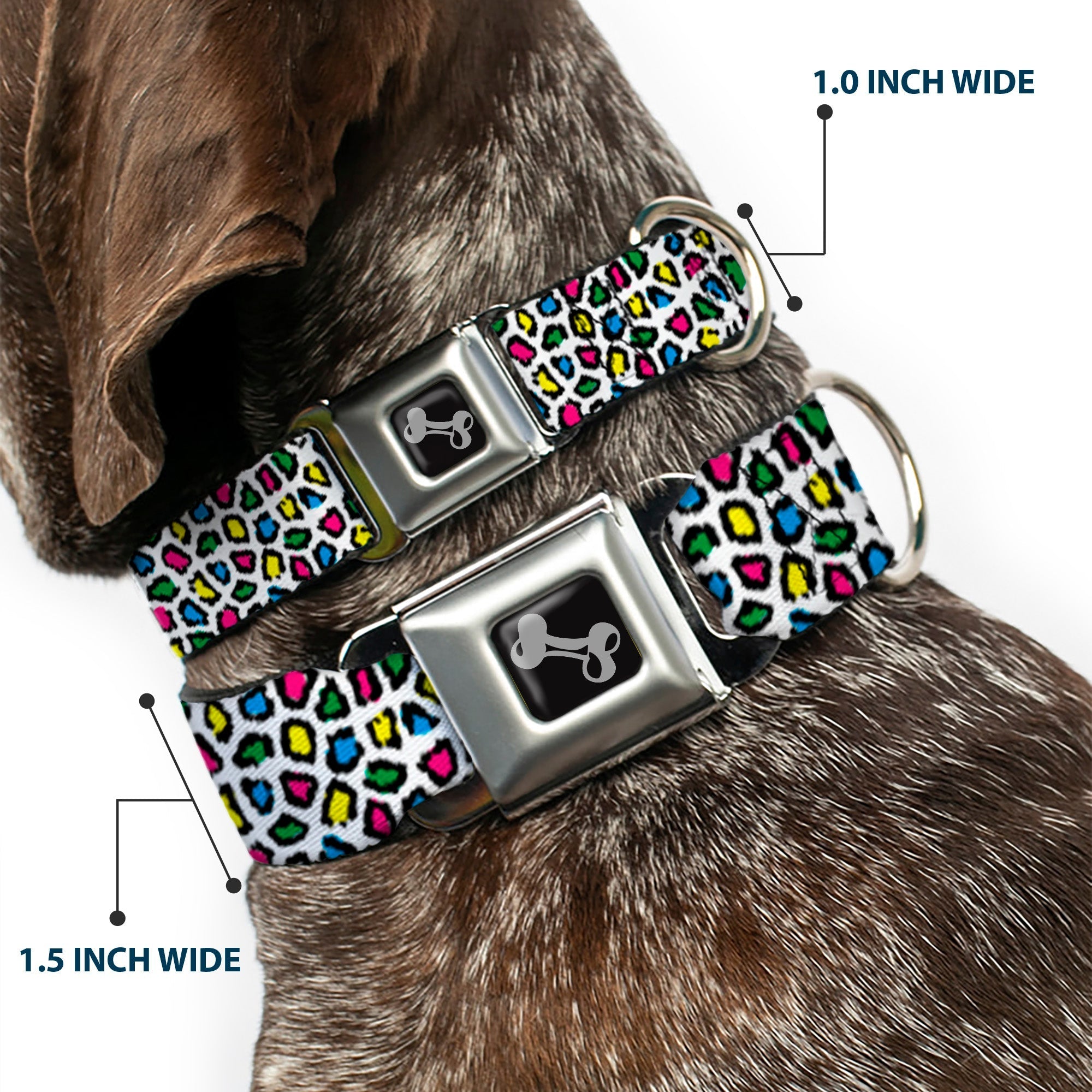 Dog Bone Seatbelt Buckle Collar - Leopard White/Multi Color - Che Cose Belle