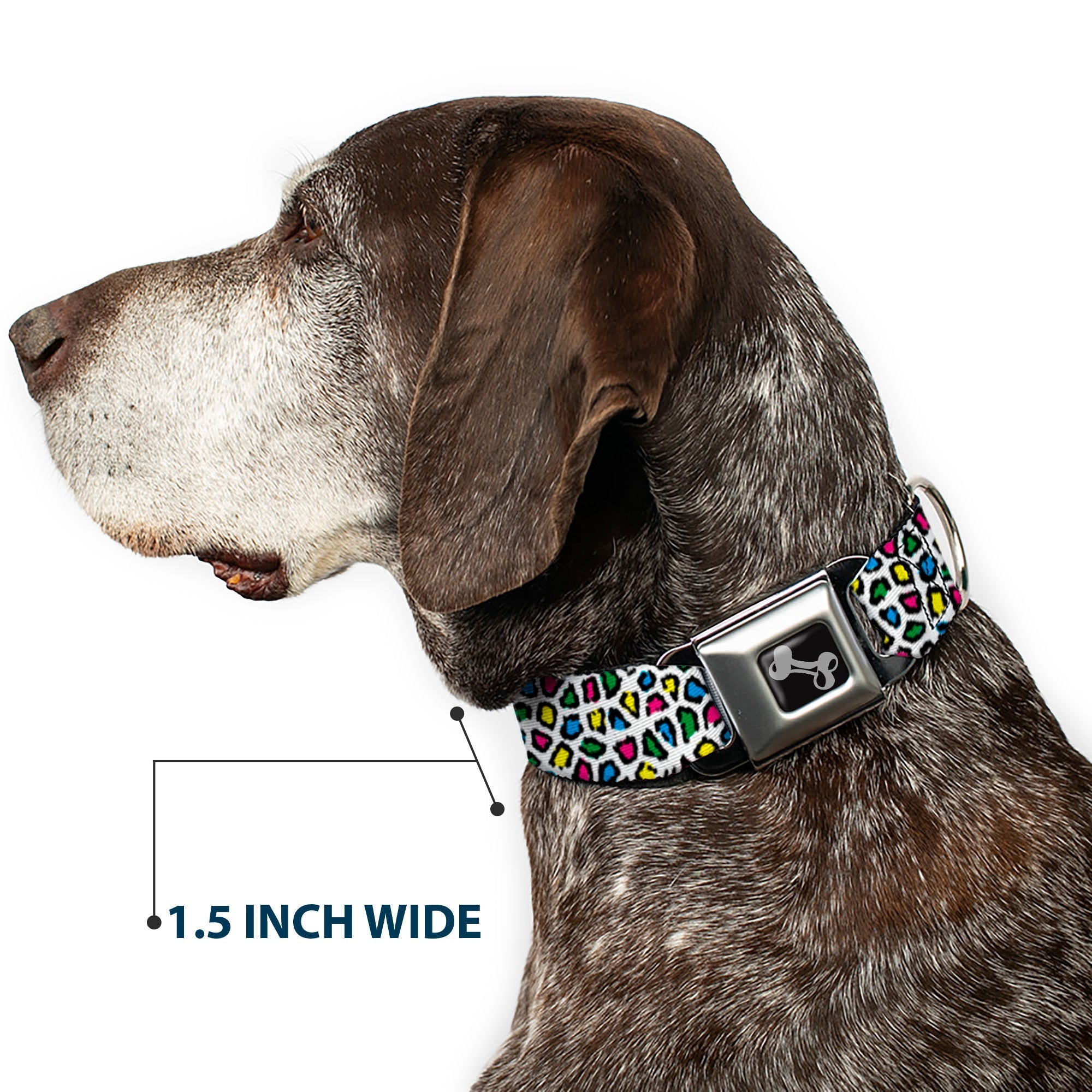 Dog Bone Seatbelt Buckle Collar - Leopard White/Multi Color - Che Cose Belle