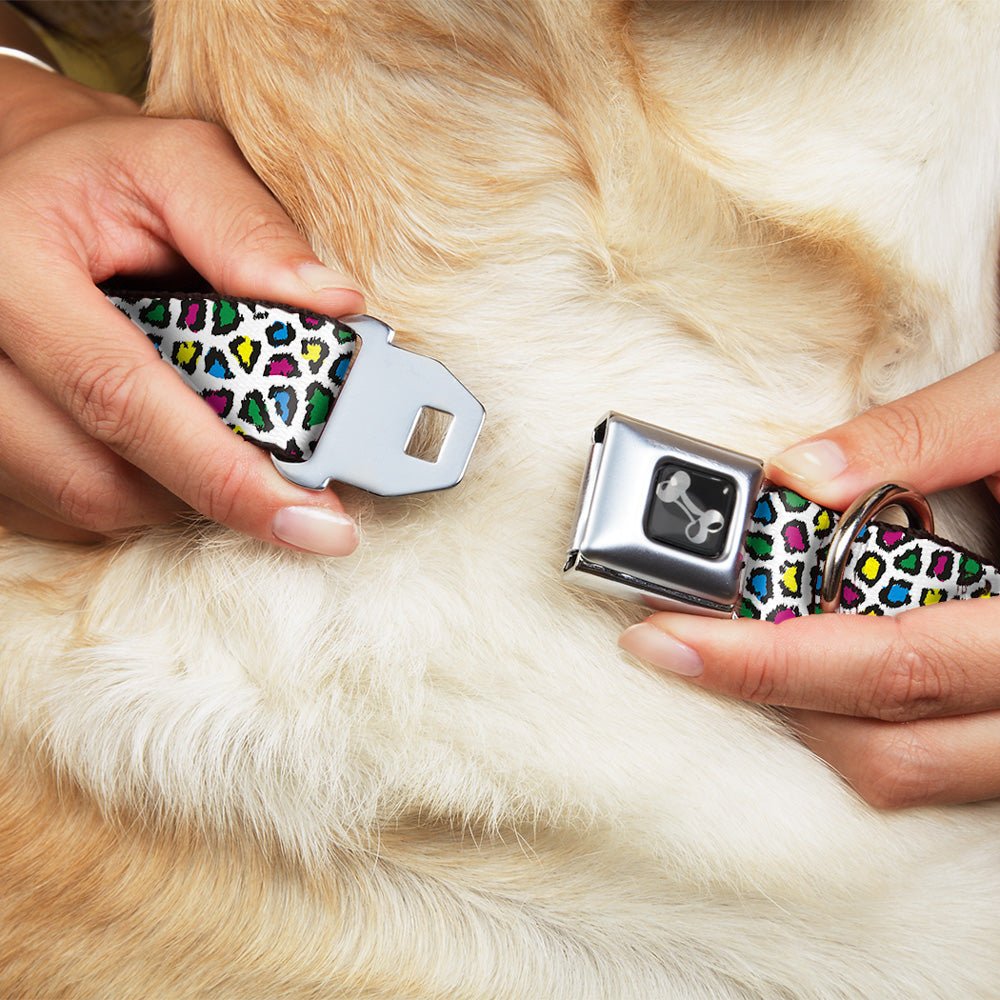 Dog Bone Seatbelt Buckle Collar - Leopard White/Multi Color - Che Cose Belle