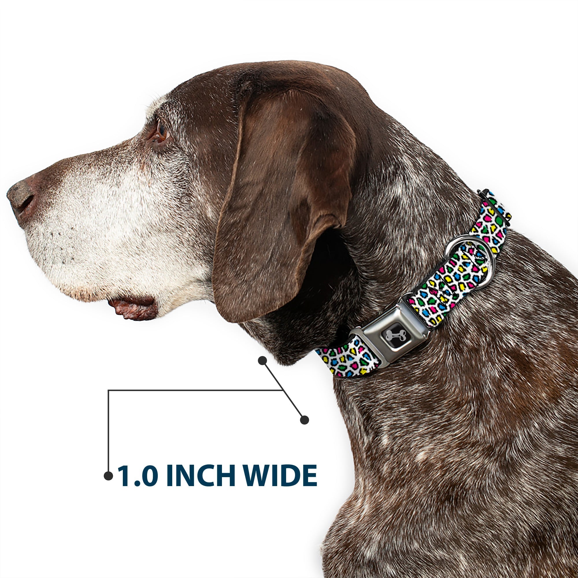 Dog Bone Seatbelt Buckle Collar - Leopard White/Multi Color - Che Cose Belle