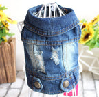 Dog Denim Jacket — 9 Styles, Sizes XS–2XL - Che Cose Belle