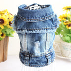 Dog Denim Jacket — 9 Styles, Sizes XS–2XL - Che Cose Belle