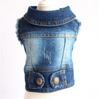 Dog Denim Jacket — 9 Styles, Sizes XS–2XL - Che Cose Belle