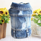 Dog Denim Jacket — 9 Styles, Sizes XS–2XL - Che Cose Belle
