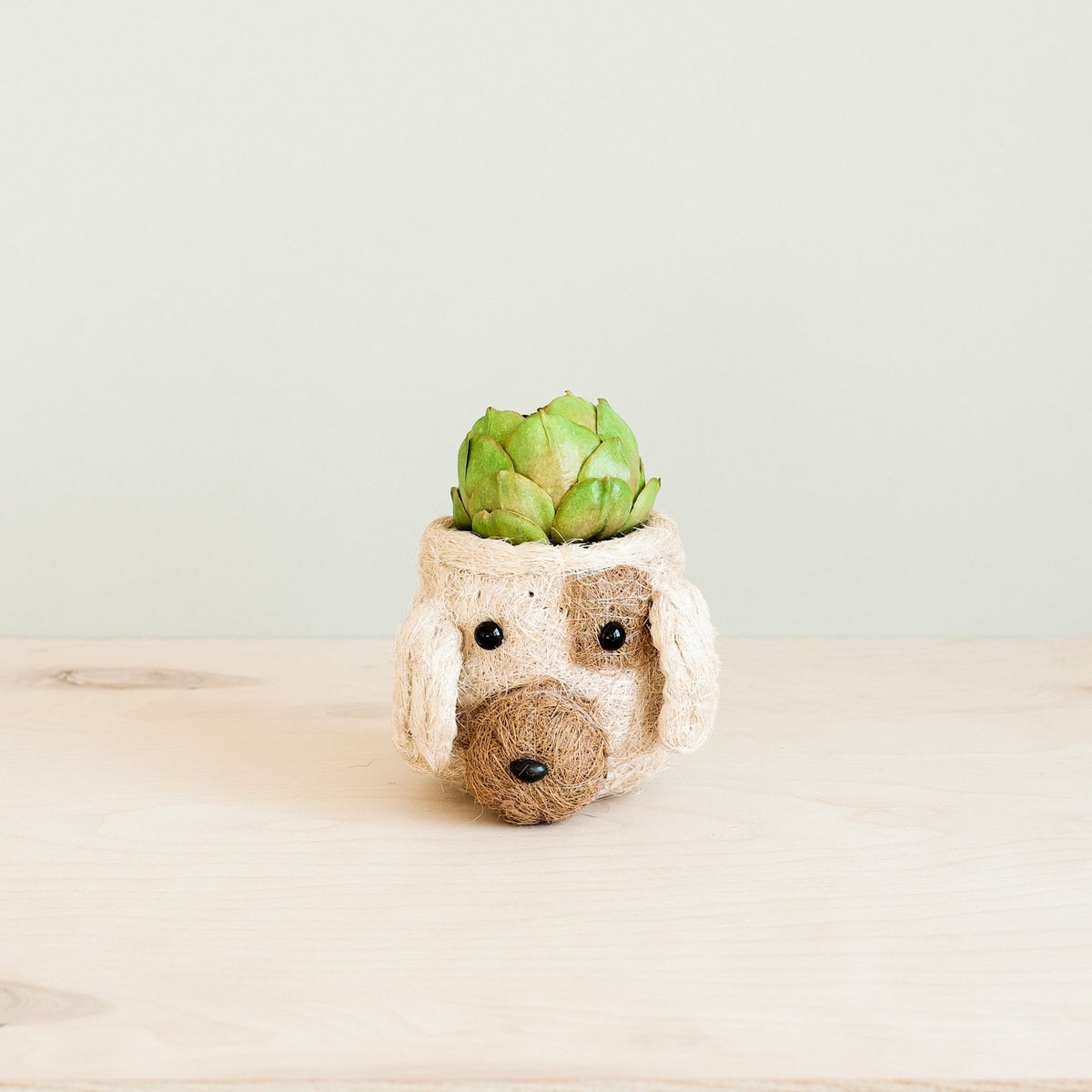 Dog Succulent Planter - Animal Head Plant Pot - Che Cose Belle
