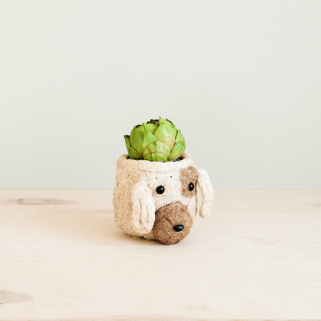 Dog Succulent Planter - Animal Head Plant Pot - Che Cose Belle