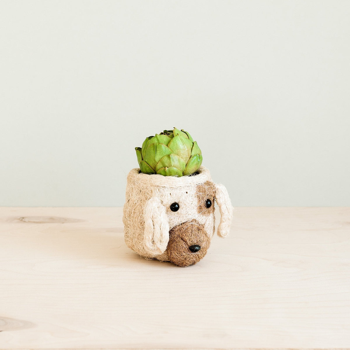 Dog Succulent Planter - Animal Head Plant Pot - Che Cose Belle