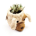 Dog Succulent Planter - Animal Head Plant Pot - Che Cose Belle