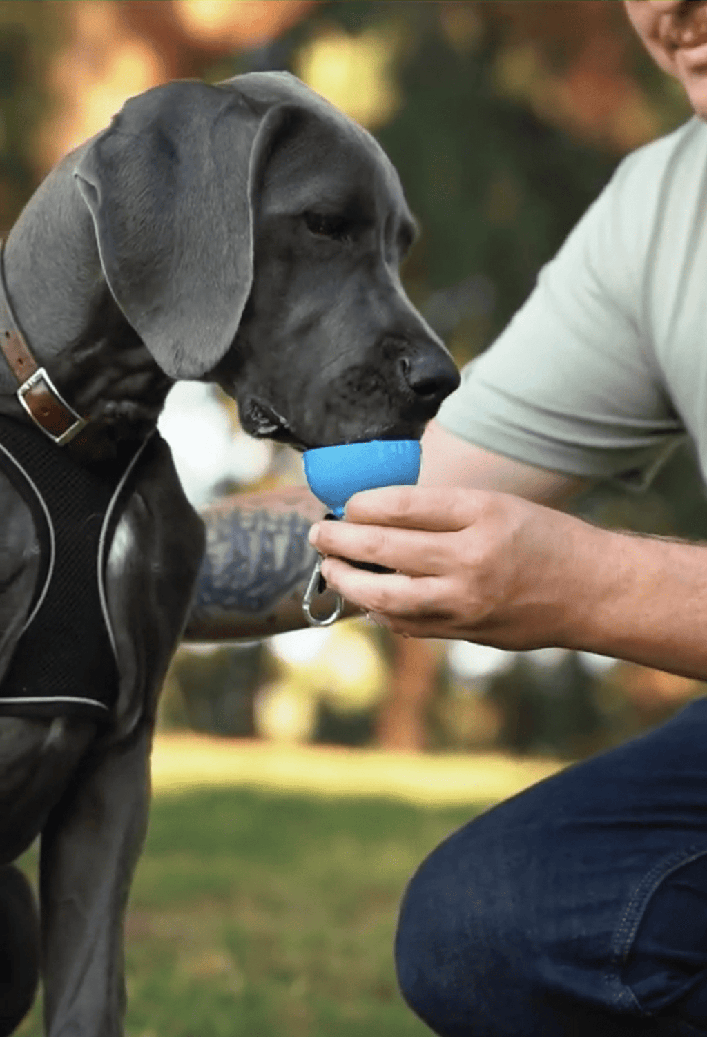 Dog Water Bottle: Never Walk Alone - Che Cose Belle