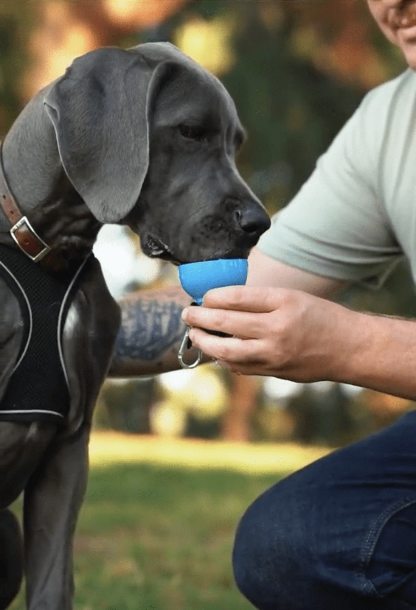 Dog Water Bottle: Never Walk Alone - Che Cose Belle