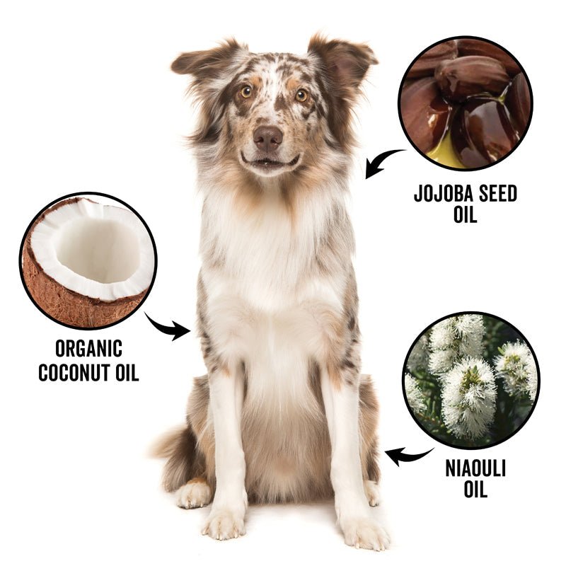 DOGDAYS De - Shedding Shampoo — Deep Moisturizing Deshedding Formula for Dogs - Che Cose Belle