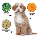 DOGDAYS Hydrating Dog Shampoo for Curly & Wavy Coats — Tear - Free, Vegan, and Hypoallergenic - Che Cose Belle