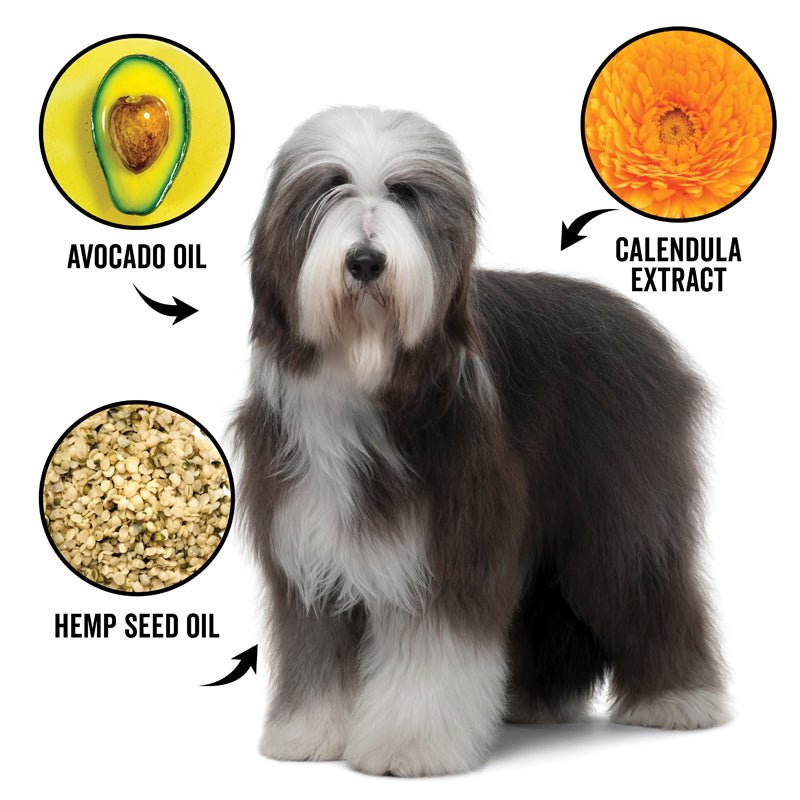 DOGDAYS Leave - In Detangling Spray — Hydrating, Frizz - Control Formula for All Coat Types - Che Cose Belle