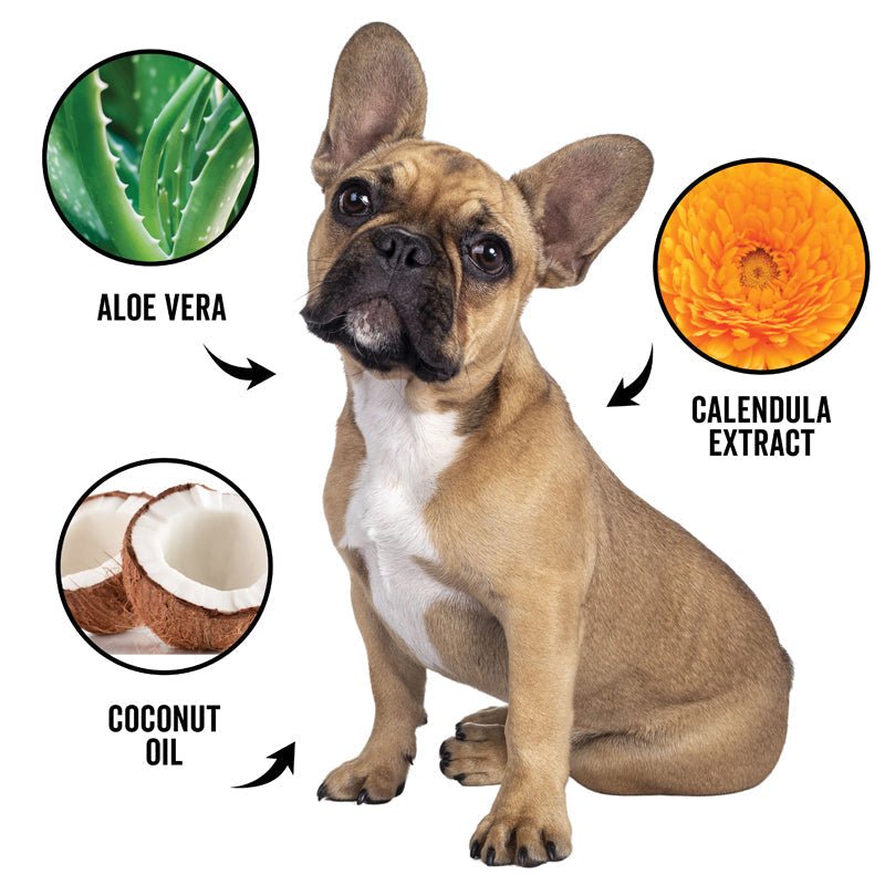 DOGDAYS Waterless Foaming Shampoo for Dogs & Cats - —No - Rinse, Odor - Eliminating Cleanser - Che Cose Belle