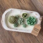 Dough Bowl Candle | Soy Wax Bowl Candle | Cactus Candle - Che Cose Belle