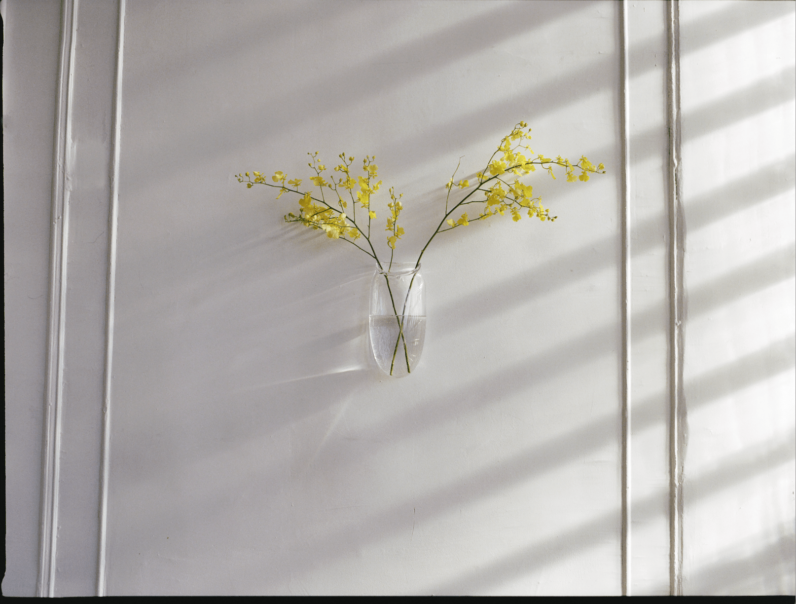 Droplet Wall Vase in Clear - Che Cose Belle