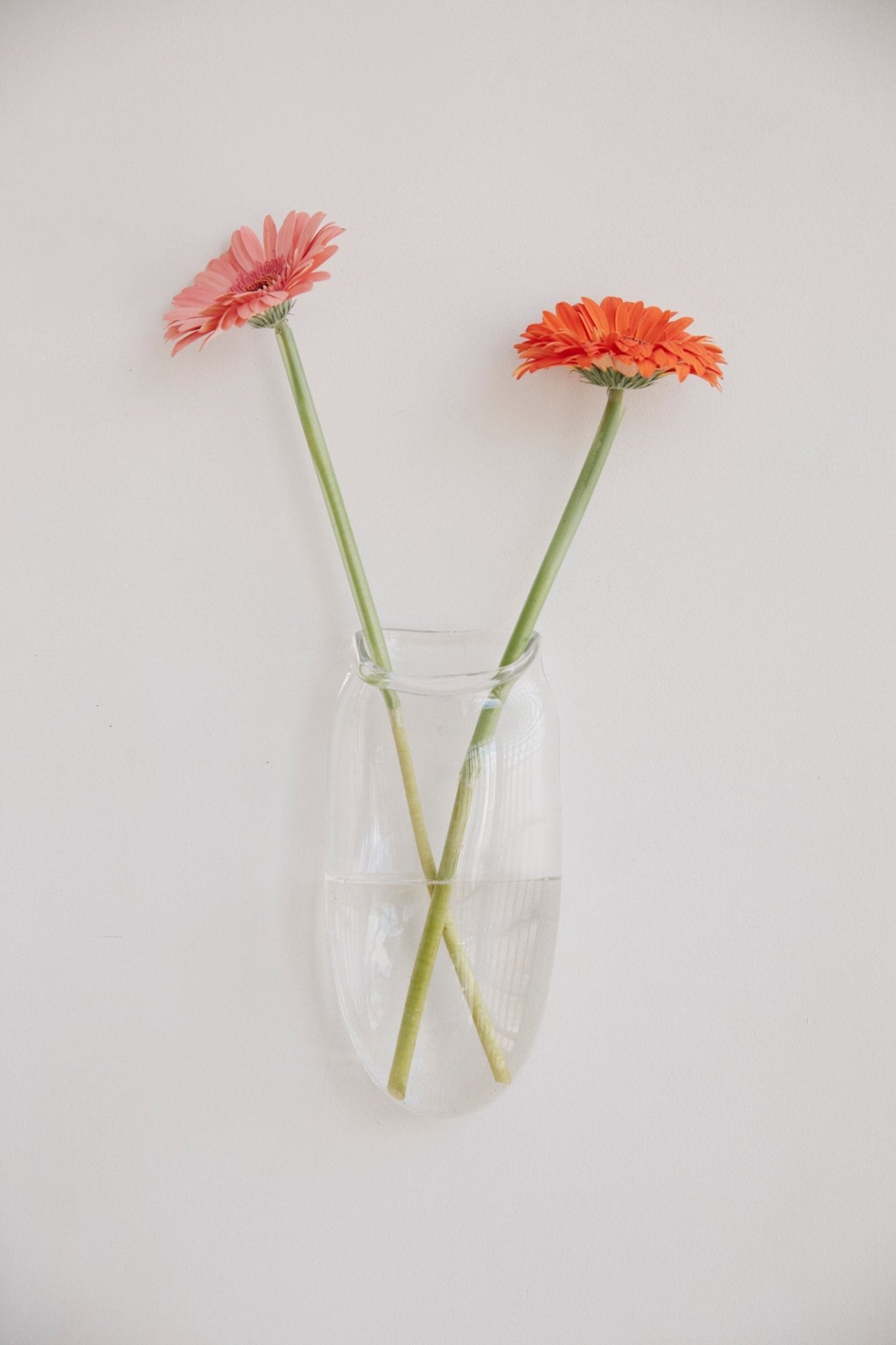 Droplet Wall Vase in Clear - Che Cose Belle