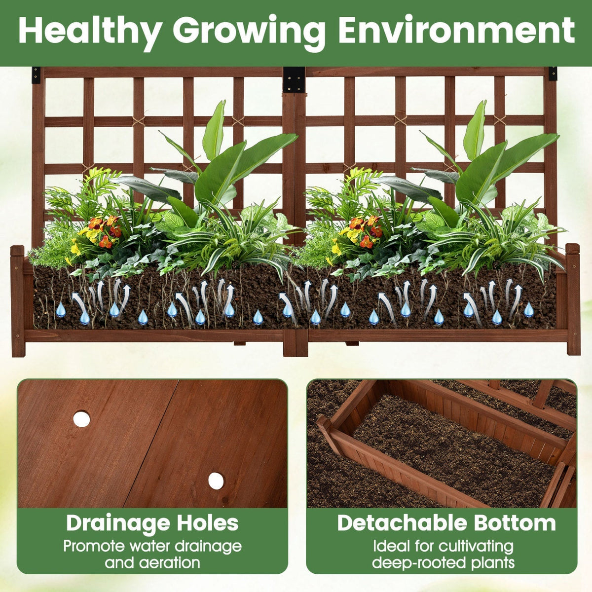 Dual Raised Garden Bed with Trellis and Drainage Holes - Che Cose Belle