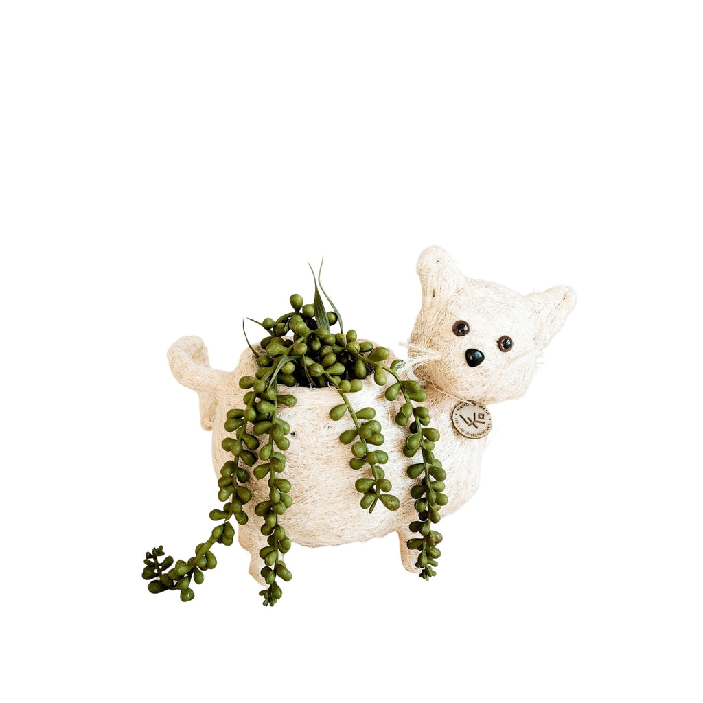 Baby Cat Planter