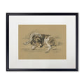 Sketched Dog Print in Black Frame