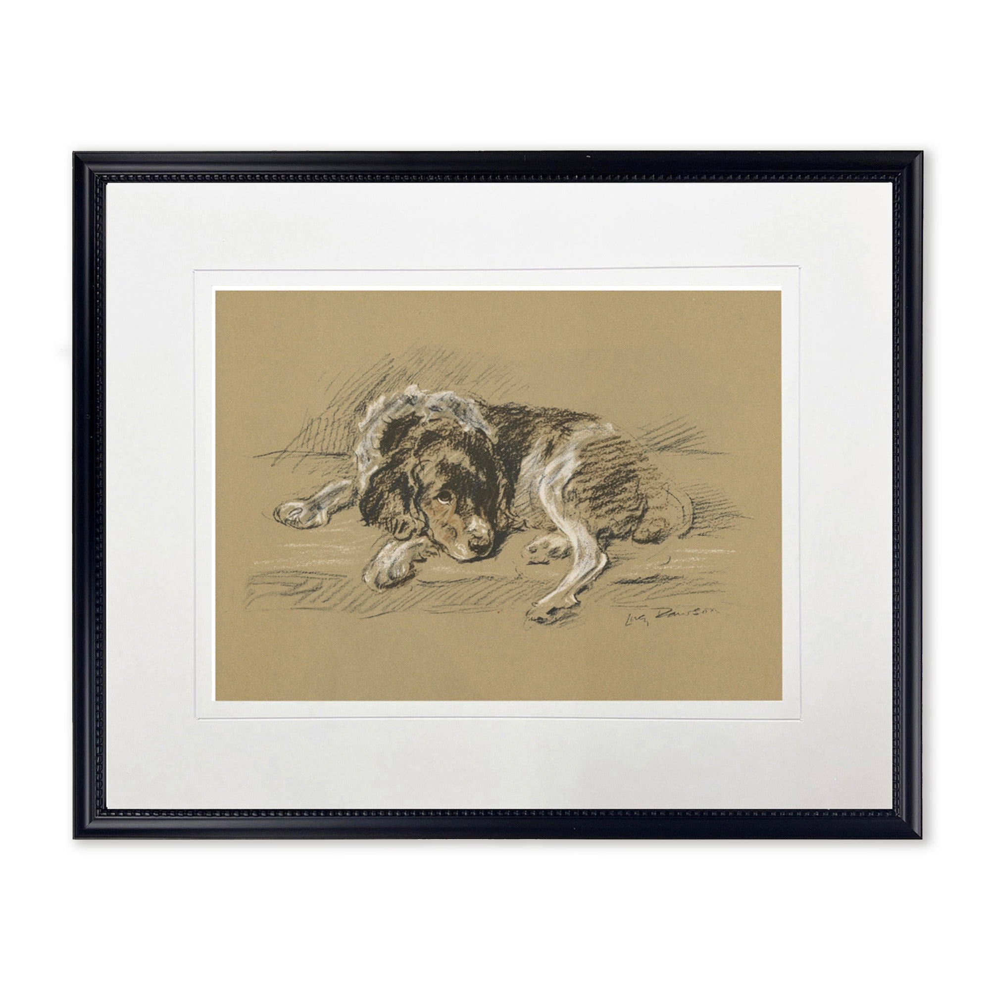 Sketched Dog Print in Black Frame
