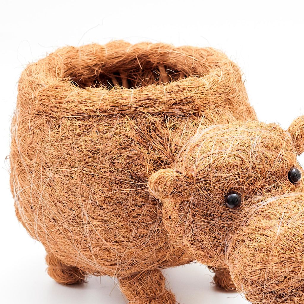 Hippo Planter - Coco Planter