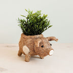 Pig Planter - Coco Coir Pots