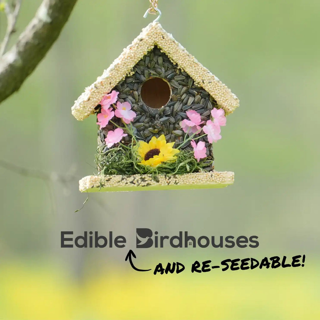 Edible Birdhouses Re - Seeding Kit – Premium Wild Bird Seed Mix - Che Cose Belle