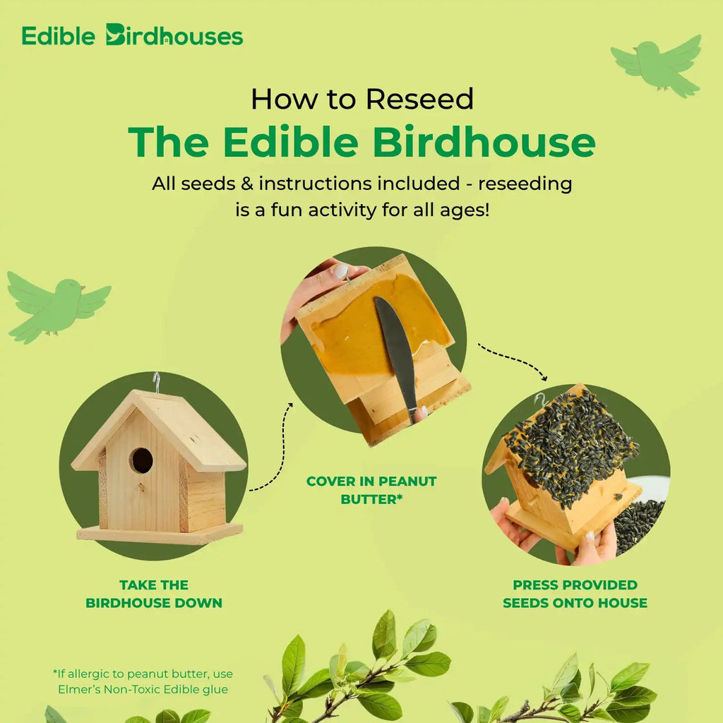 Edible Birdhouses Re - Seeding Kit – Premium Wild Bird Seed Mix - Che Cose Belle
