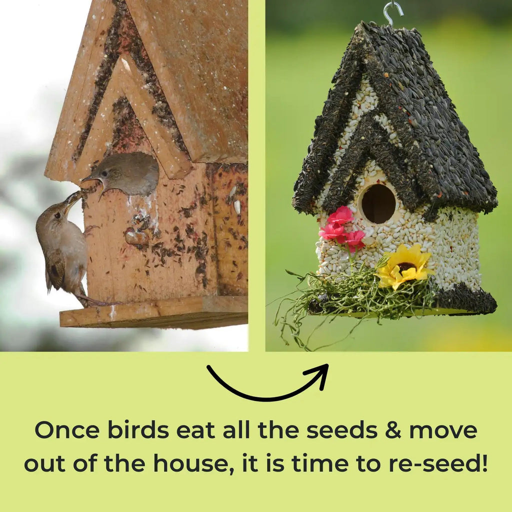Edible Birdhouses Re - Seeding Kit – Premium Wild Bird Seed Mix - Che Cose Belle