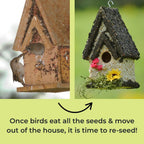 Edible Birdhouses Re - Seeding Kit – Premium Wild Bird Seed Mix - Che Cose Belle
