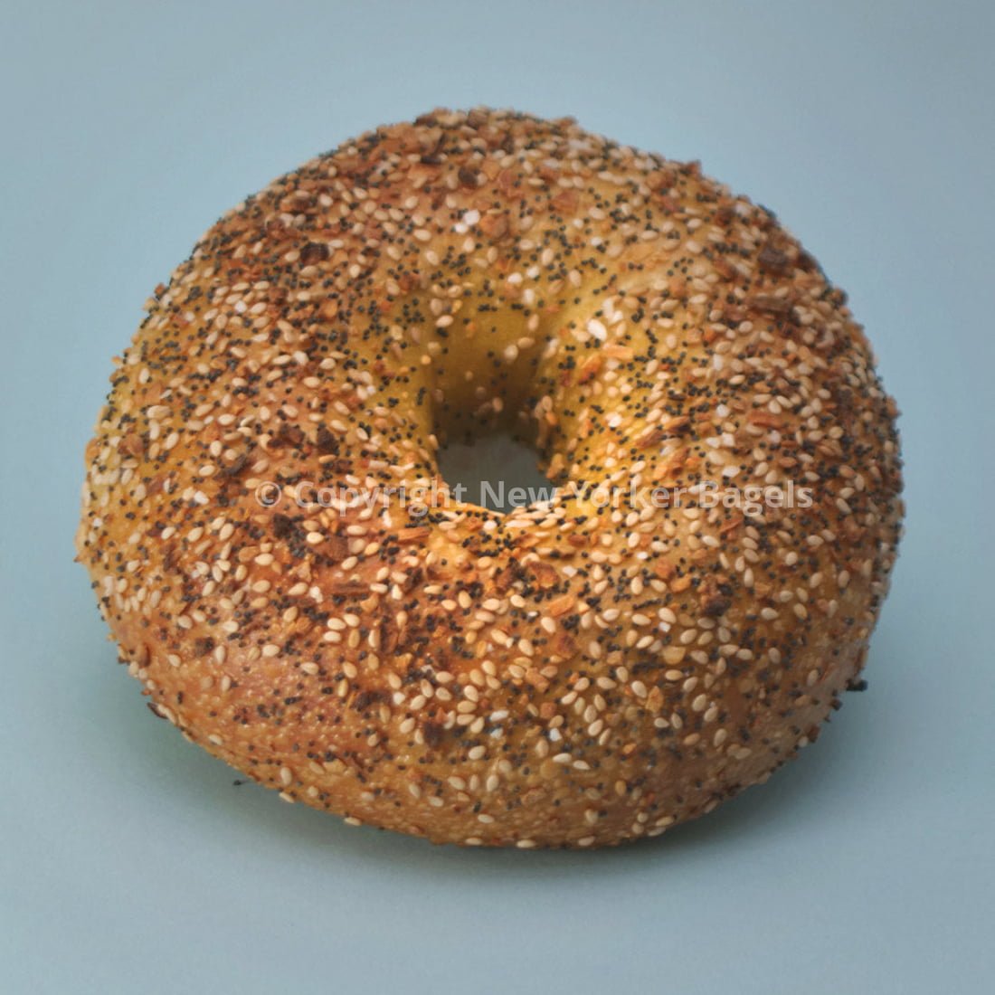 Egg Everything Bagels - 2 Dozen - Che Cose Belle
