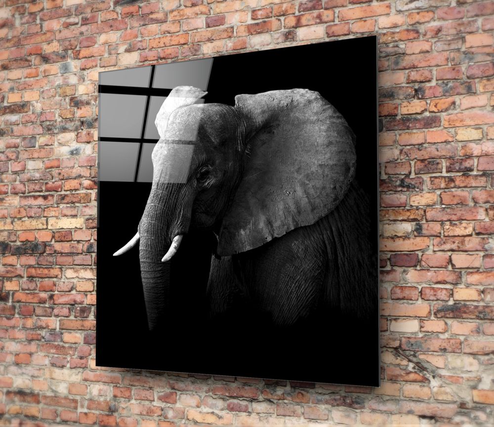 Elephant Glass Wall Art - Che Cose Belle
