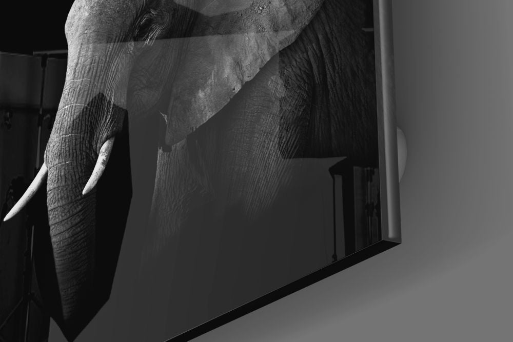 Elephant Glass Wall Art - Che Cose Belle