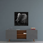 Elephant Glass Wall Art - Che Cose Belle
