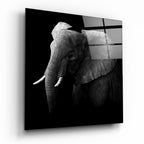 Elephant Glass Wall Art - Che Cose Belle