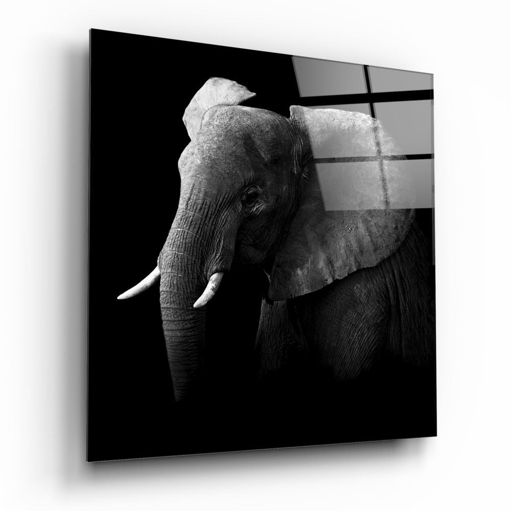 Elephant Glass Wall Art - Che Cose Belle