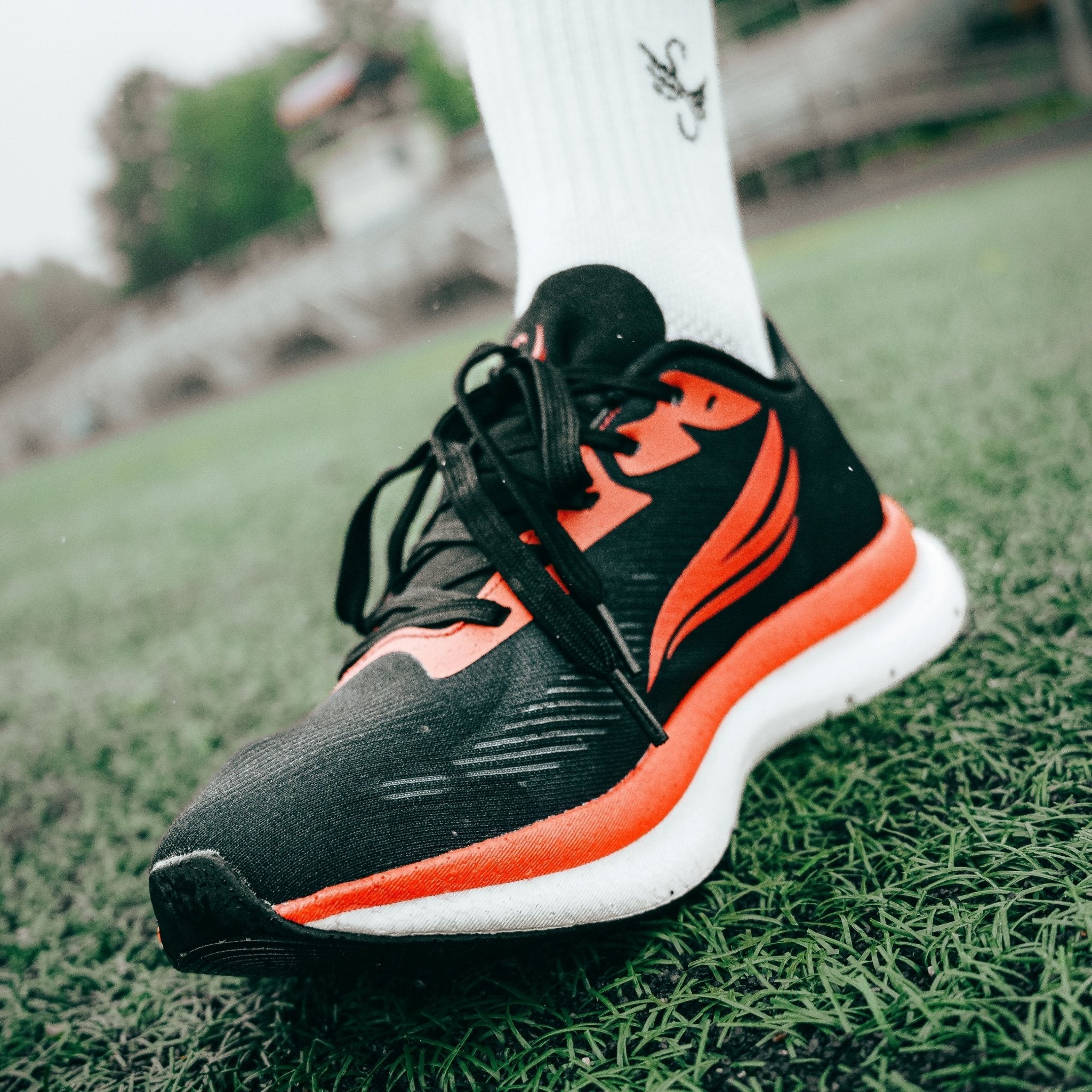 EQUUS Black Men Running Shoe - Che Cose Belle