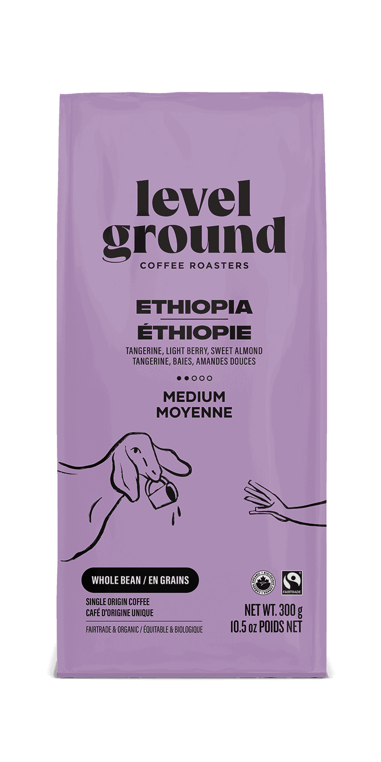 Ethiopian Medium Roast Coffee - Che Cose Belle