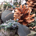 Eucalyptus Juniper & Pinecone Wreath - Che Cose Belle