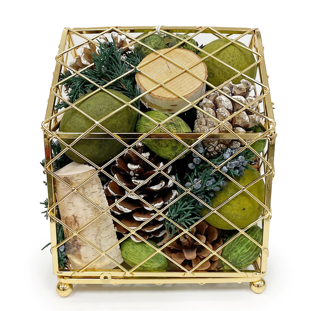Evergreen Pine House Potpourri - Che Cose Belle