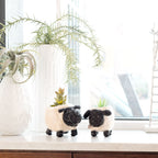 Sheep Planter - Coco Coir Pots