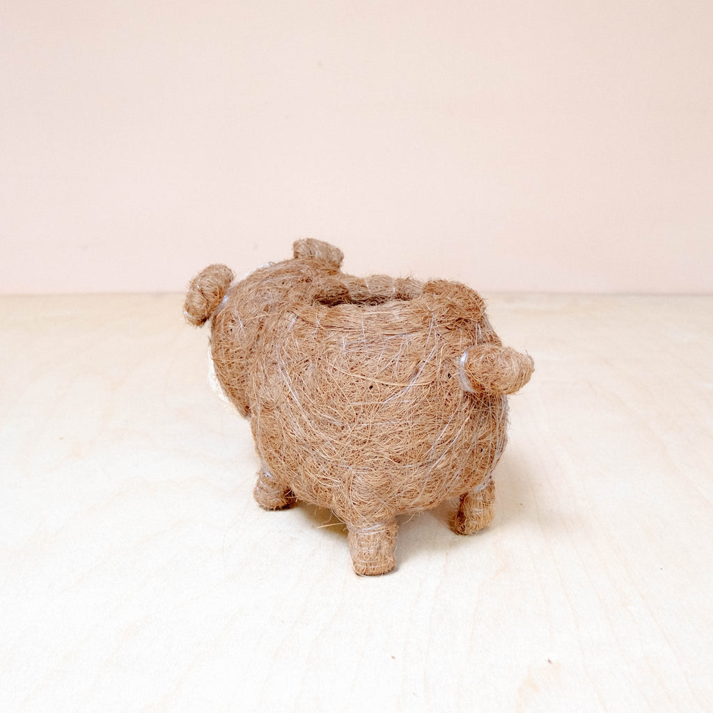 Baby English Bulldog Planter