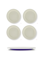 S/4 Enamel Dinner Plate  - Two Tone