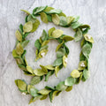 Felt Mistletoe Garland - Che Cose Belle