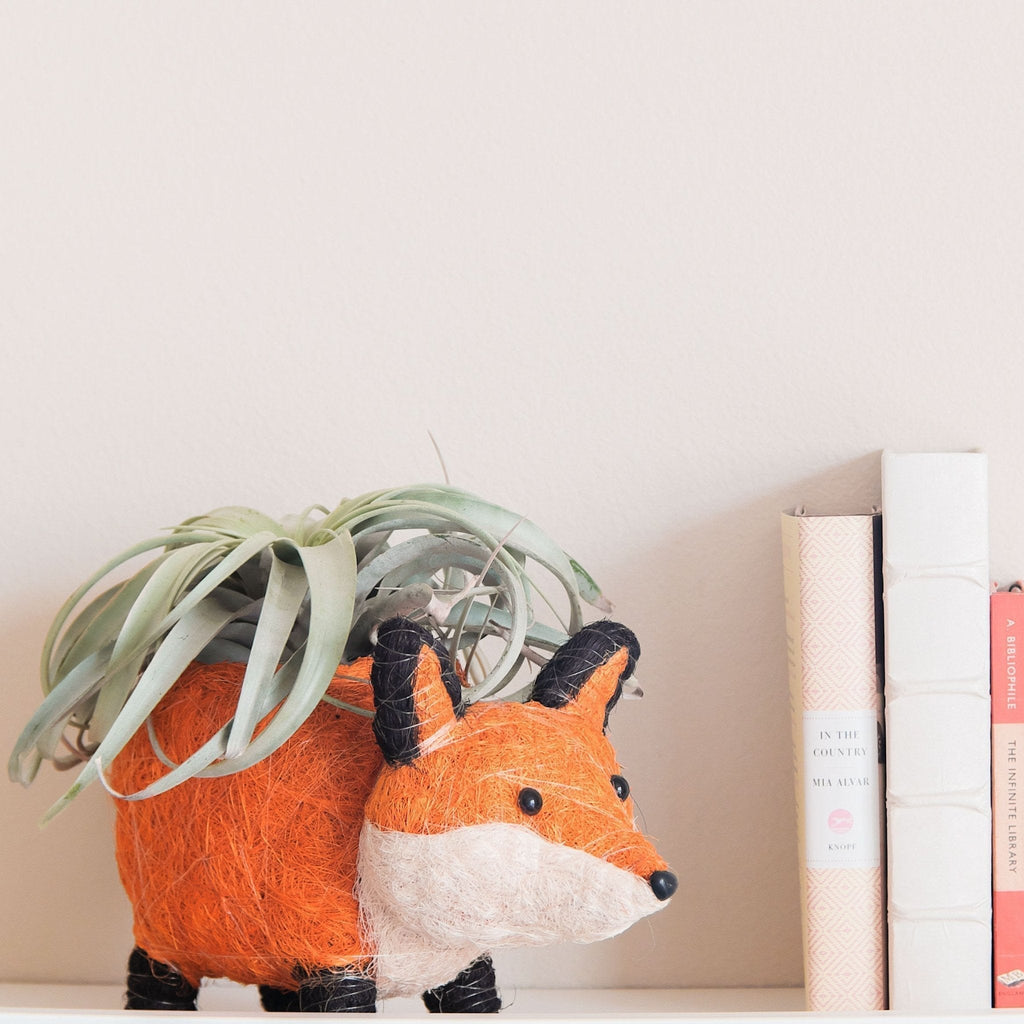 Fox Planter - Che Cose Belle