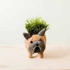 French Bulldog Planter - Che Cose Belle