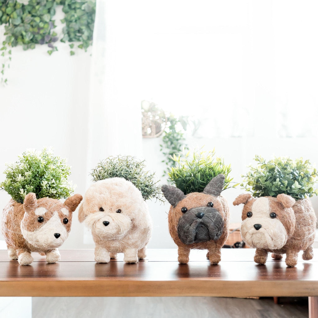 French Bulldog Planter - Che Cose Belle