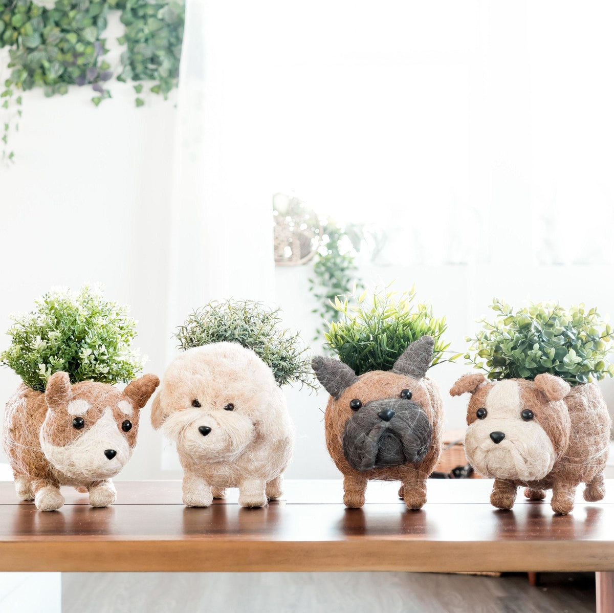 French Bulldog Planter - Che Cose Belle